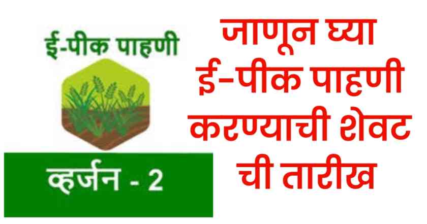 epik pahani: ई-पिक पाहणी नोंदणीची अंतिम तारीख, माहिती घ्या आणि नोंदणी करा 1 epik pahani last date