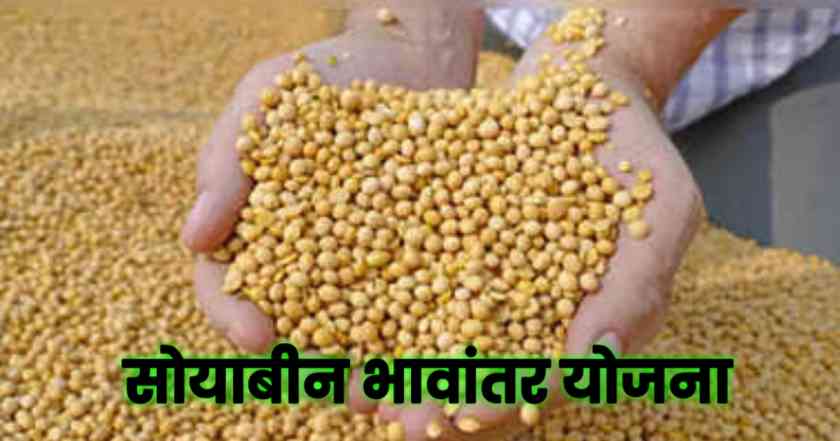 Soyabin Bhavantar yojana maharashtra